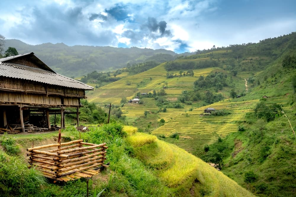 Bac Ha