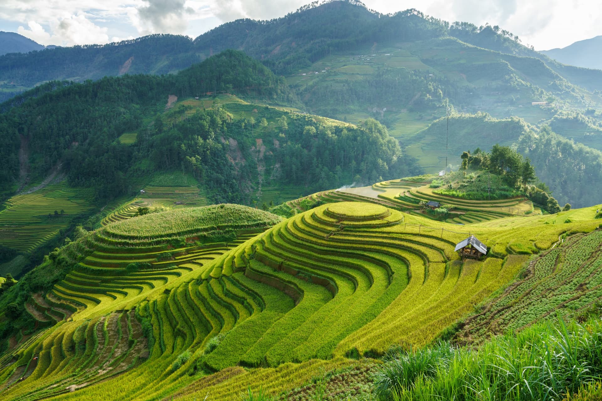 ¿Dónde descubrir los más bellos arrozales en terrazas del norte de Vietnam?